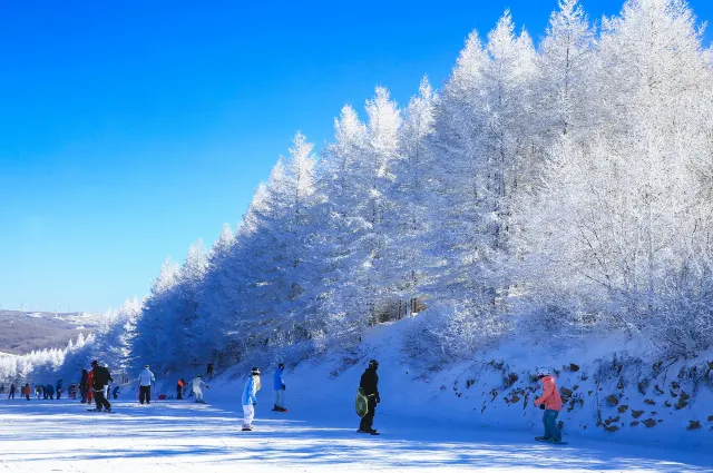 2026公眾假期攻略 | 輕鬆自製假期玩樂！新年請1日放4日 + 復活節請3日放10日