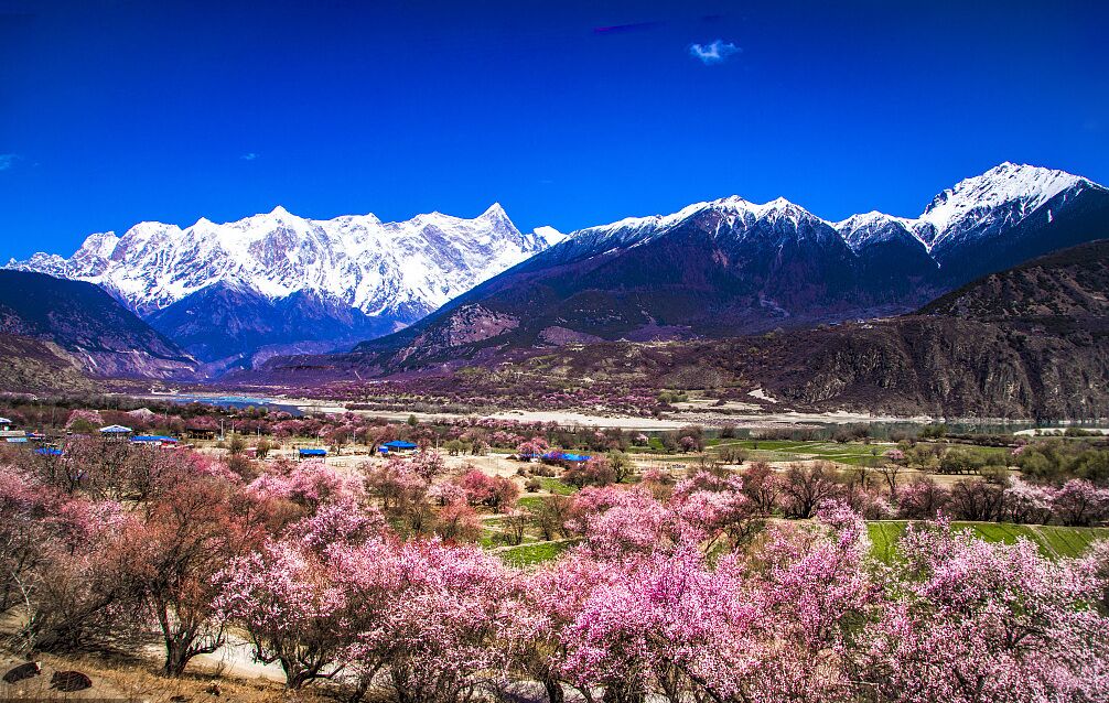 【華人必收藏】經香港出發中國旅行團 一文看清旅行團優點 【華人必收藏】經香港出發中國旅行團 一文看清旅行團優點