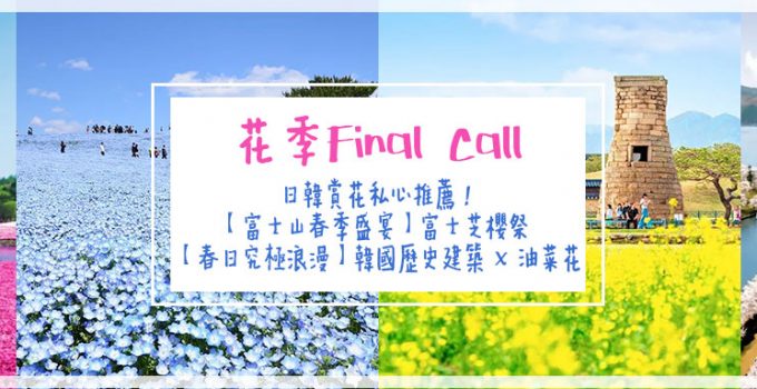 初夏賞花攻略| 日韓賞花私心推薦！【富士山春季盛宴】富士芝櫻祭 /【究極浪漫】韓國歷史建築 X 油菜花