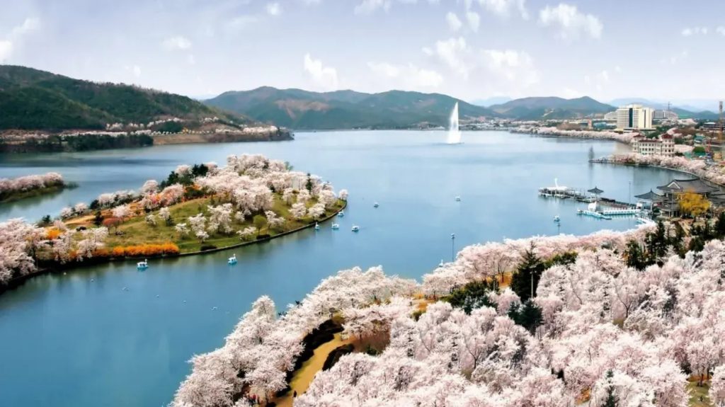 初夏賞花攻略| 日韓賞花私心推薦！【富士山春季盛宴】富士芝櫻祭 /【究極浪漫】韓國歷史建築 X 油菜花