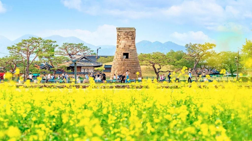 初夏賞花攻略| 日韓賞花私心推薦！【富士山春季盛宴】富士芝櫻祭 /【究極浪漫】韓國歷史建築 X 油菜花