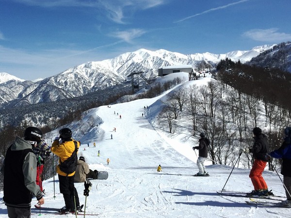 立山黑部開山交通攻略：穿越日本屋脊的雪之大谷之旅